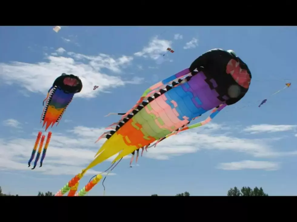 5th Annual Kites in the Park April 29th, Fantastic Free Event