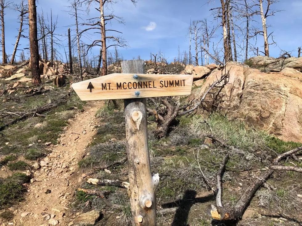Put this Poudre Canyon Trail on your Summer Hiking List