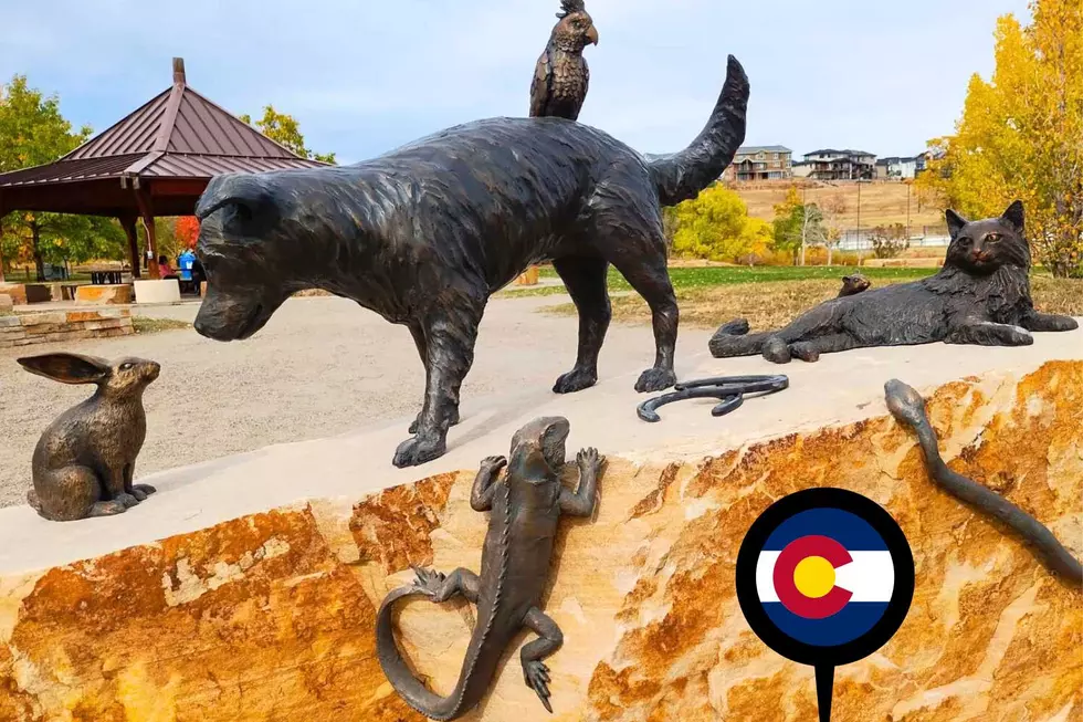 Colorado’s Memorial to Pets Lost in the Marshall Fire is Amazing and Bittersweet