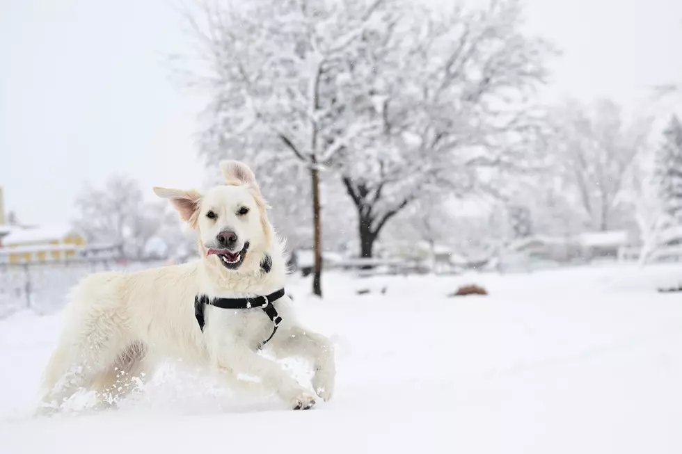 Denver Has No Trace of Snow Yet, Making Weather History